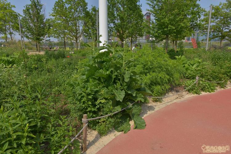 旅系列四 倫敦奧林匹克公園——世界園林中的中國風景園林視角